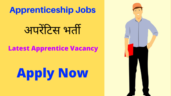 Apprentice Vacancy 2020