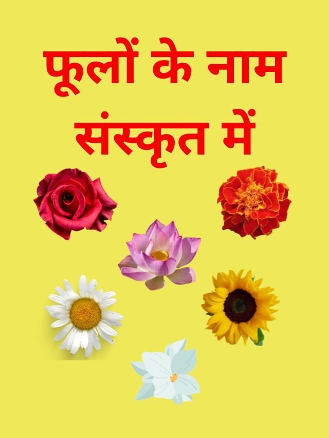 Flowers Name in Sanskrit | फूलों के नाम संस्कृत में