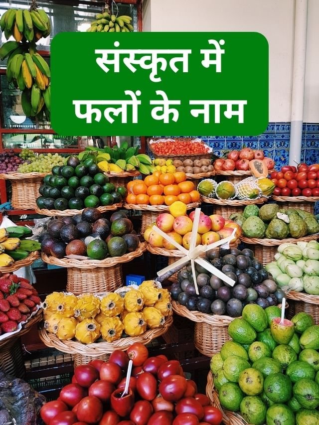 names of fruit in sanskrit