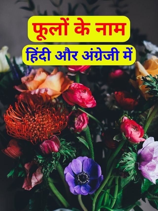 Flowers Name in Hindi and English | फूलों के नाम