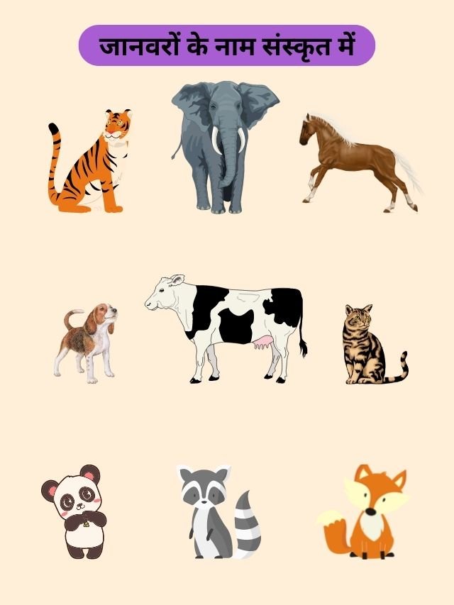 10 Animals Name in Sanskrit